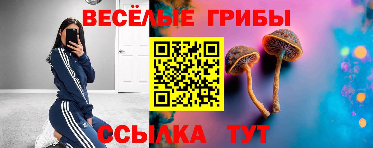 Псилоцибиновые грибы мицелий Кимовск